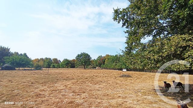 maison à vendre - 5 pièces - 162.0 m2 - LACOURT ST PIERRE - 82 - MIDI-PYRENEES - Century 21 Les Trois Rivières