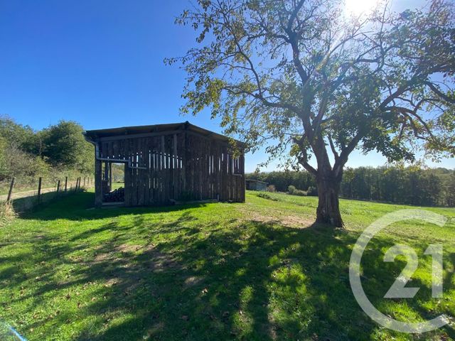 maison à vendre - 6 pièces - 202.0 m2 - VILLEMUR SUR TARN - 31 - MIDI-PYRENEES - Century 21 Les Trois Rivières