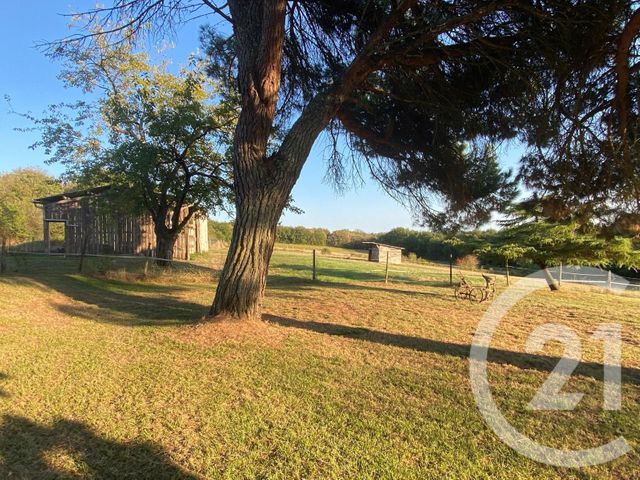 maison à vendre - 6 pièces - 202.0 m2 - VILLEMUR SUR TARN - 31 - MIDI-PYRENEES - Century 21 Les Trois Rivières