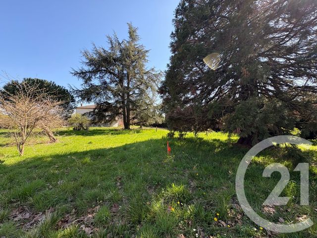 Terrain à vendre MONTECH